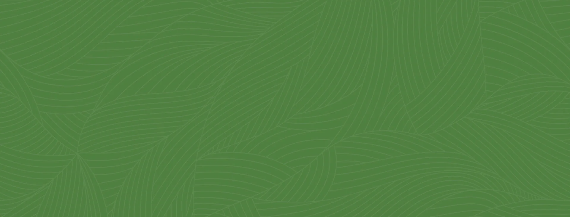 How Forest Pac Works